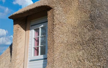 Biggings thatch roof disadvantages
